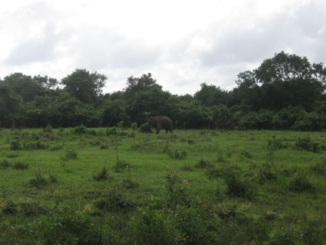 Caption 3 for image 3