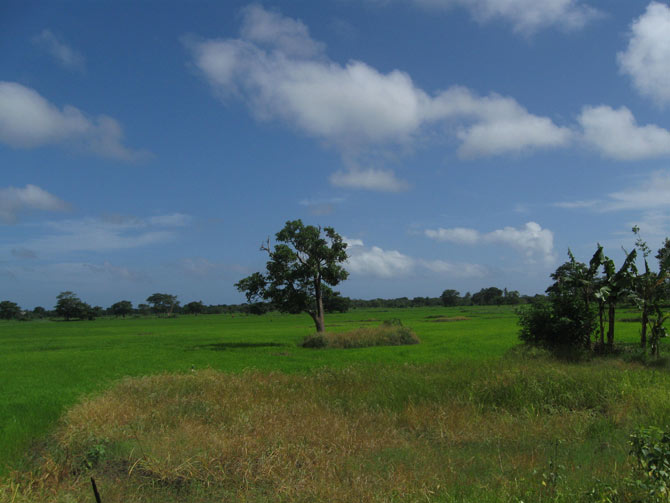 Caption 6 for image 6