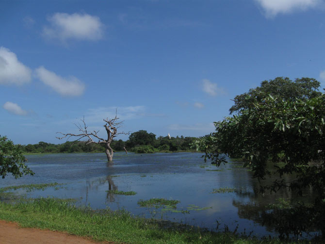 Caption 8 for image 8
