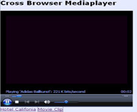Cross Browser media player sample image