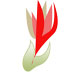 Winkinsoft sample top banner Logo